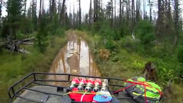 Nowosybirsk, Rosja - 24 maja 2019: Wycieczka terenowa na tereny terenowe i grunty. Jazda Pov na Atv po wiejskiej drodze przez las — Wideo stockowe