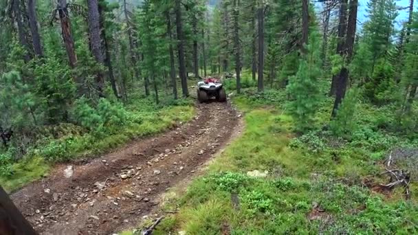 NOVOSIBIRSK, RUSIA - 24 DE MAYO DE 2019: Un viaje en un vehículo todo terreno y tierra. Conducción POV en un ATV en un camino rural salvaje a través de un bosque — Vídeos de Stock