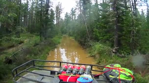 NOVOSIBIRSK, RUSSIA - MAY 24, 2019: A trip on an ATV for off-road and dirt. Driving POV on an ATV on a rural wilderness road through a forest — 비디오