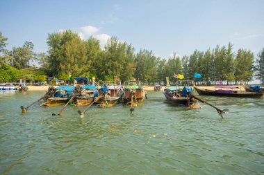 Krabi Thailand 3 Şubat 2018: Krabi İl Tayland Nopparat Thara limanında demirlemiş tekneler ve longtail tekneler. Phi Phi Mu Ko Phi Phi Milli Parkı parçası olduğunu.