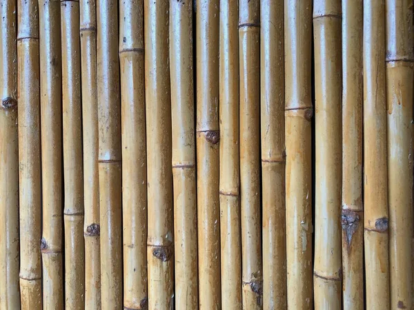 Bamboo Wall Background Texture — Stock Photo, Image