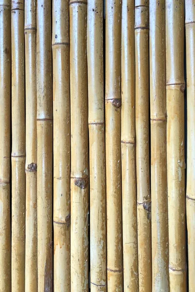 Mur Bambou Comme Texture Fond — Photo