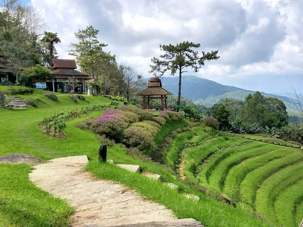 Huai Nam Dang National Park Chiang Mai Thailand — Stock Photo, Image