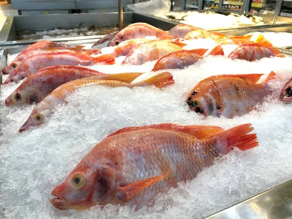 Φρέσκο Ωμό Ψάρι Στο Πιάτο Προς Πώληση Σούπερ Μάρκετ — Φωτογραφία Αρχείου