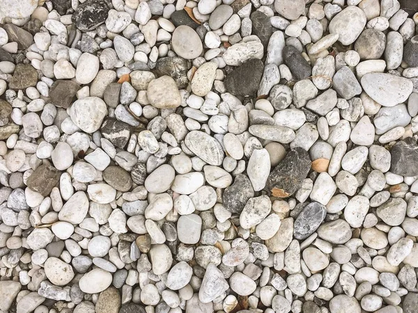 Padrão Textura Cascalho Seixos Pequenas Pedras Caminho Caminhada Para Decoração — Fotografia de Stock