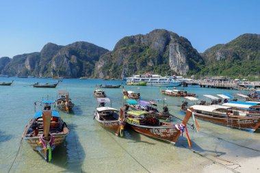 Krabi Thailand 11 Şubat 2019: Longtail tekneler demirli Krabi il Tayland Phi Phi Adası'nda. Bu Mu Ko Phi Phi Milli Parkı parçası olduğunu.