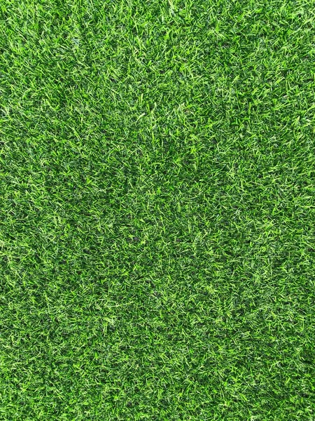 Green Grass Background Texture — Stock Photo, Image