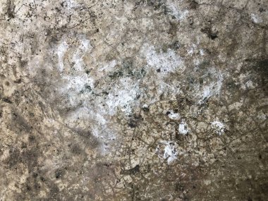 Bağırmak ile kirli çatlak beton zemin