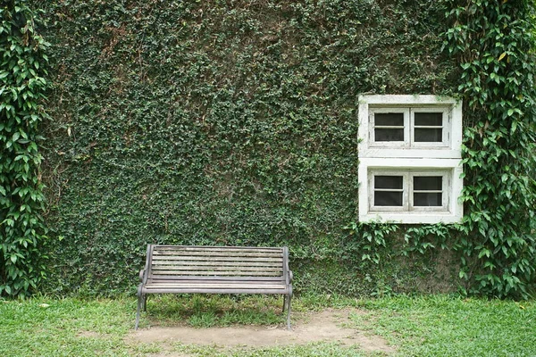 Chaise Extérieure Bois Fenêtre Blanche Avec Vigne Sur Mur — Photo