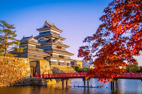 Château Matsumoto Avec Feuilles Érable Automne Nagano Japon — Photo