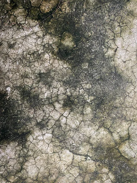 平面グラウンジコンクリート床の詳細背景 — ストック写真