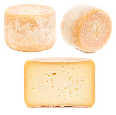 Head of hard cheese isolated clipart