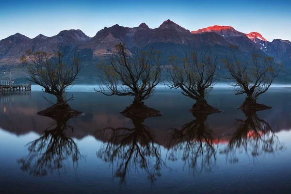 Vista Cênica Árvores Refletindo Água Sob Céu Nublado — Fotografia de Stock
