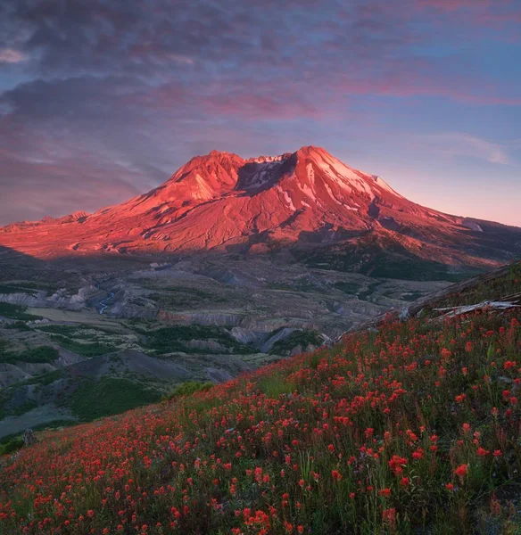 夕暮れ時の山々と赤い花の美しい景色 — ストック写真