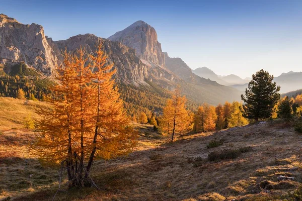 Vista Panorámica Montañas Árboles Otoño — Foto de Stock