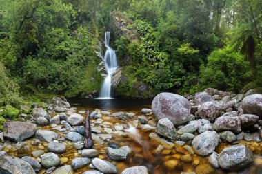 Yazın şelalenin manzarası