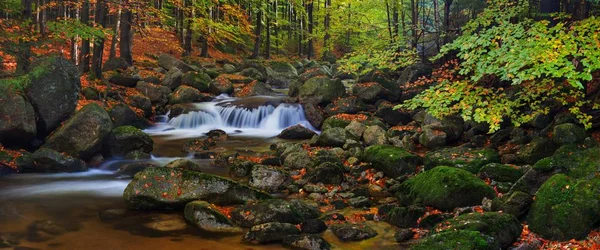 Scenic View Forest Stones Summer — Stock Photo, Image