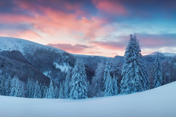 雪の中の森と山々の風光明媚な眺め — ストック写真