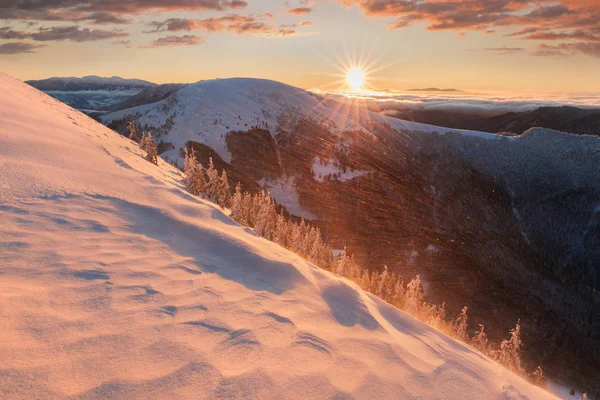 Живописный Вид Лес Горы Снегу — стоковое фото