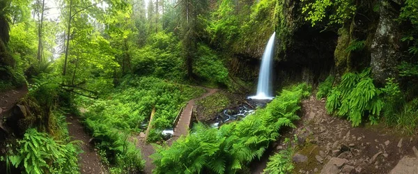 Scenic View Waterfall Summer — Stock Photo, Image