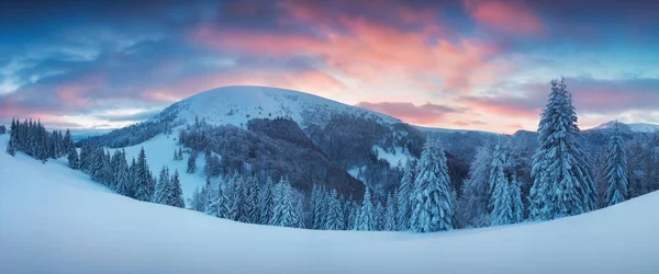 Vista Panorâmica Floresta Montanhas Neve — Fotografia de Stock