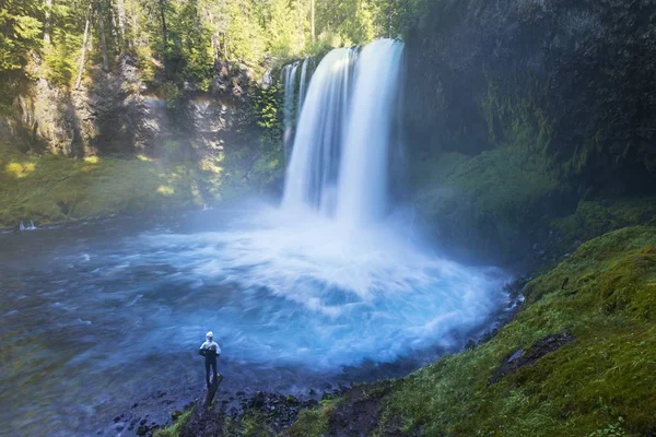 Scenic View Man Looking Waterfall Summer — Stock Photo, Image