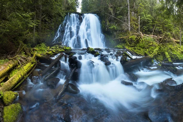 Scenic View Waterfall Summer — Stock Photo, Image
