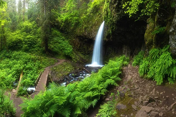 Scenic View Waterfall Summer — Stock Photo, Image