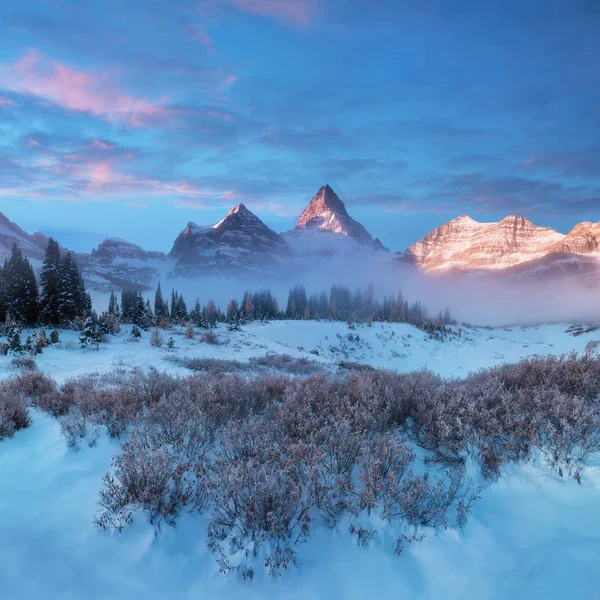 Malowniczy Widok Góry Las Zimą — Zdjęcie stockowe