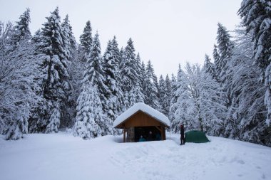 kışın karda ev ve köknar ağaçları nın yakınındaki insanların manzara görünümü