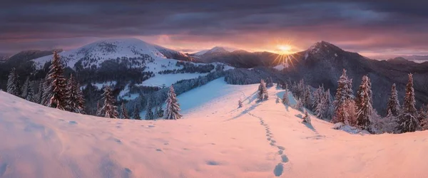 Vista Panorâmica Floresta Montanhas Neve — Fotografia de Stock