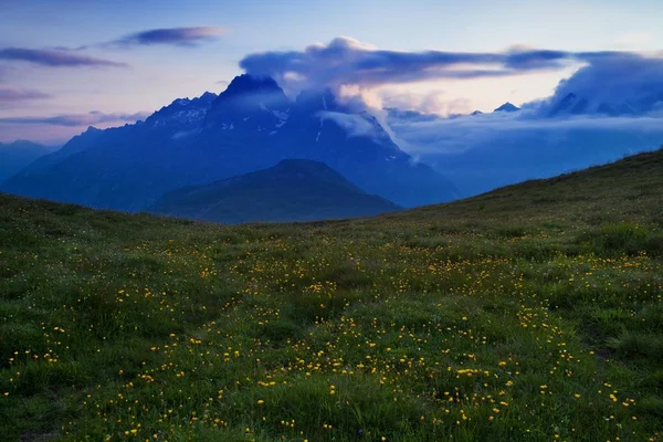 Vista Panorámica Hierba Las Flores Montañas Fondo — Foto de Stock