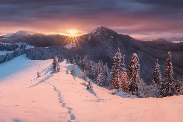 Vista Panorâmica Floresta Montanhas Neve — Fotografia de Stock