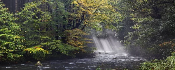 Schilderachtig Uitzicht Forest River Stones Herfst — Stockfoto