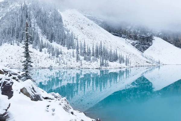 Vista Panorámica Montañas Árboles Invierno — Foto de Stock