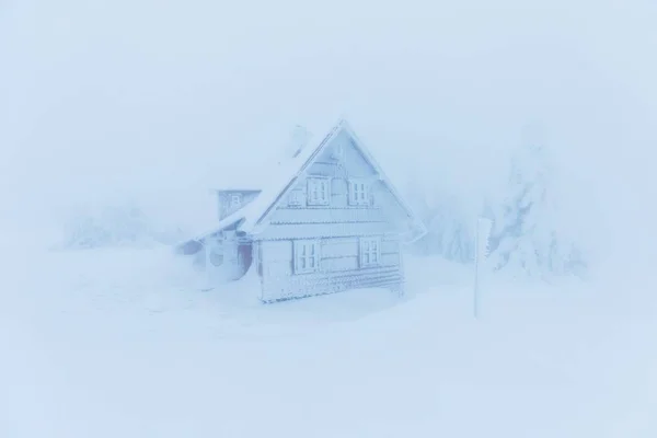 Vista Panorámica Casa Abetos Nieve Invierno —  Fotos de Stock