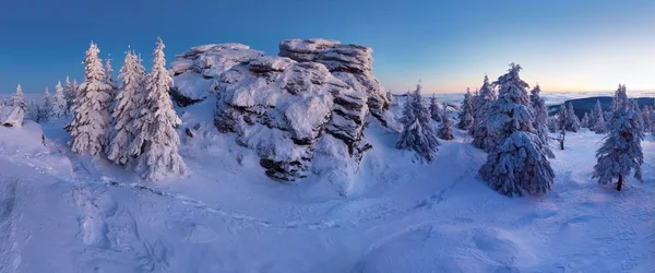 Vue Panoramique Sur Les Sapins Dans Neige Hiver — Photo