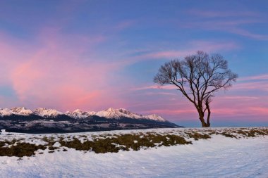 karda Dolomite Alpleri'nin doğal görünümü, İtalya, Avrupa