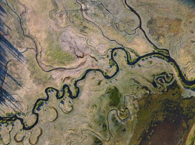 Ağaçlar ve yol ile yaz manzara Manzara manzara