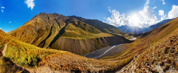 Scenic View Mountains Plants Summer — Stock Photo, Image