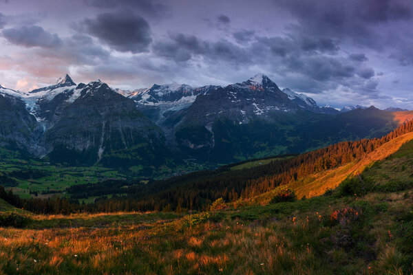 scenic view of fields and mountains under overcast sky