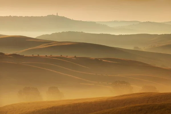 Scenic View Foggy Fields Trees Selective Focus — Stock Photo, Image