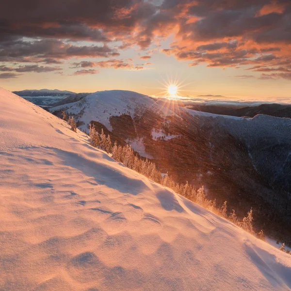 Karda Orman Dağların Doğal Görünümü — Stok fotoğraf