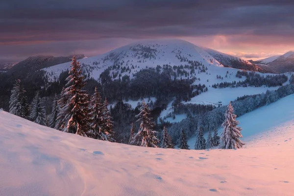 Vista Panorâmica Floresta Montanhas Neve — Fotografia de Stock