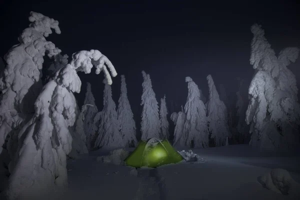 scenic view of tent near trees in snow