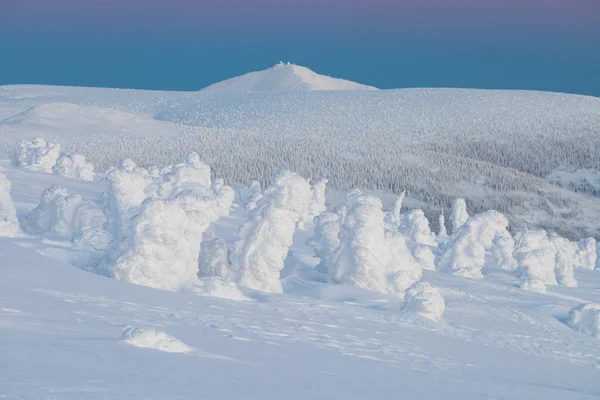 Красивый Вид Горы Деревья Снегу — стоковое фото
