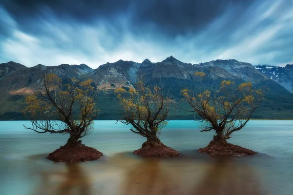 Мальовничий Вид Дерева Відображаються Воді Під Розсіяним Небом — стокове фото