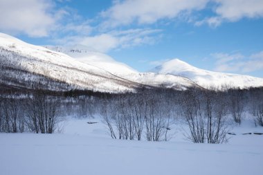 Alpler dağlarında kışın güneşli gün yol ve buzlu manzara manzara manzara
