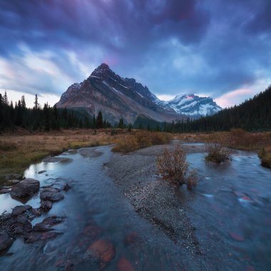 arka planda ağaçlar ile gölde yansıtan gökyüzü ile manzara manzara manzara manzara