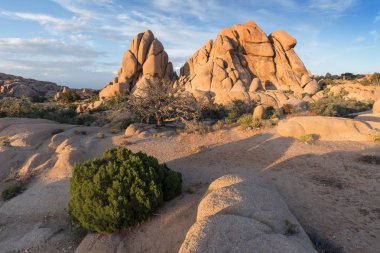 Joshua Tree National Park, Mojave çöl, Kaliforniya, ABD. Gün batımında Jumbo kayalar. Güzel manzara arka plan